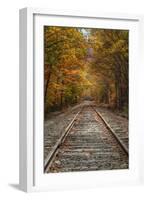 Autumn Railroad Tracks, White Mountain, New Hampshire-Vincent James-Framed Photographic Print