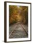 Autumn Railroad Tracks, White Mountain, New Hampshire-Vincent James-Framed Photographic Print