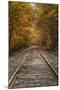 Autumn Railroad Tracks, White Mountain, New Hampshire-Vincent James-Mounted Photographic Print