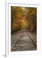 Autumn Railroad Tracks, White Mountain, New Hampshire-Vincent James-Framed Photographic Print