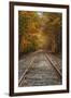 Autumn Railroad Tracks, White Mountain, New Hampshire-Vincent James-Framed Photographic Print