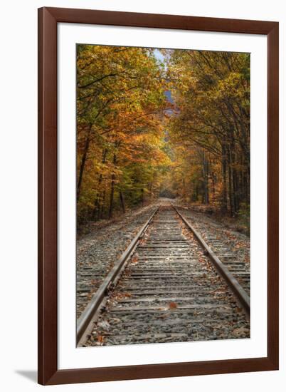 Autumn Railroad Tracks, White Mountain, New Hampshire-Vincent James-Framed Photographic Print
