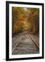 Autumn Railroad Tracks, White Mountain, New Hampshire-Vincent James-Framed Photographic Print