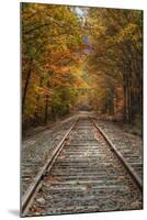 Autumn Railroad Tracks, White Mountain, New Hampshire-Vincent James-Mounted Photographic Print