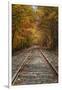 Autumn Railroad Tracks, White Mountain, New Hampshire-Vincent James-Framed Photographic Print