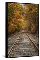 Autumn Railroad Tracks, White Mountain, New Hampshire-Vincent James-Framed Stretched Canvas