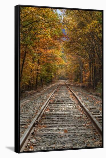 Autumn Railroad Tracks, White Mountain, New Hampshire-Vincent James-Framed Stretched Canvas