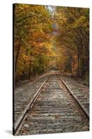 Autumn Railroad Tracks, White Mountain, New Hampshire-Vincent James-Stretched Canvas