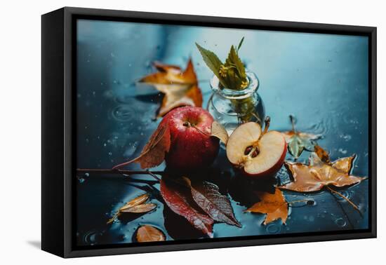 Autumn Rain and Apples-Dina Belenko-Framed Stretched Canvas