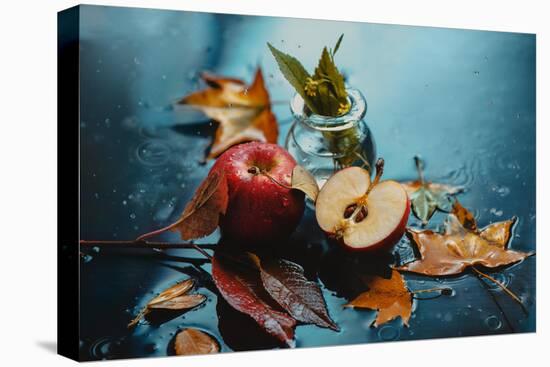 Autumn Rain and Apples-Dina Belenko-Stretched Canvas