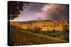 Autumn Rainbow Farms, Hollow Farm Vermont New England-Vincent James-Stretched Canvas
