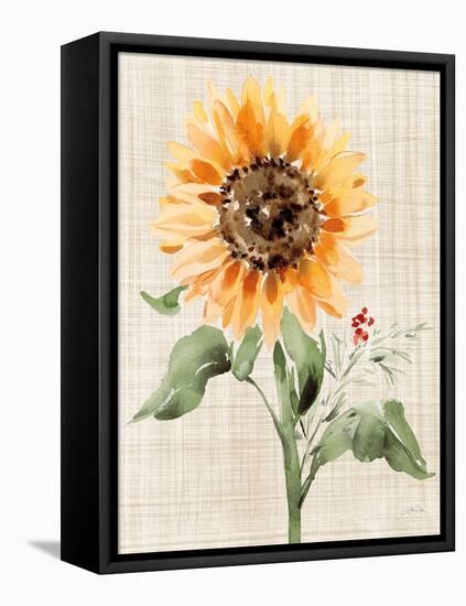 Autumn Ramble III Linen-Katrina Pete-Framed Stretched Canvas