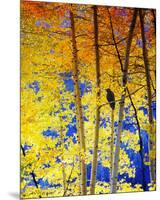 Autumn Raven-Chris Vest-Mounted Premium Giclee Print