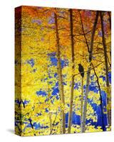 Autumn Raven-Chris Vest-Stretched Canvas