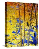 Autumn Raven-Chris Vest-Stretched Canvas