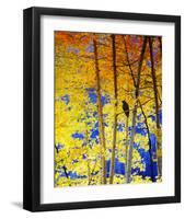 Autumn Raven-Chris Vest-Framed Art Print