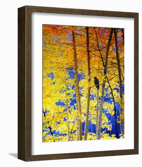 Autumn Raven-Chris Vest-Framed Art Print