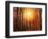 Autumn rays-Marco Carmassi-Framed Photographic Print