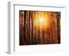 Autumn rays-Marco Carmassi-Framed Photographic Print