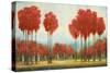 Autumn Reds-Michael Marcon-Stretched Canvas