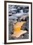 Autumn reflection, Pigeon River (West Fork), Forest Scenic Byway, Pisgah National Forest, North Car-Adam Jones-Framed Photographic Print