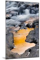 Autumn reflection, Pigeon River (West Fork), Forest Scenic Byway, Pisgah National Forest, North Car-Adam Jones-Mounted Photographic Print