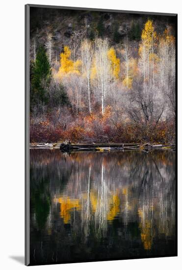 Autumn Reflection-Ursula Abresch-Mounted Photographic Print