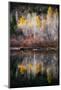 Autumn Reflection-Ursula Abresch-Mounted Photographic Print