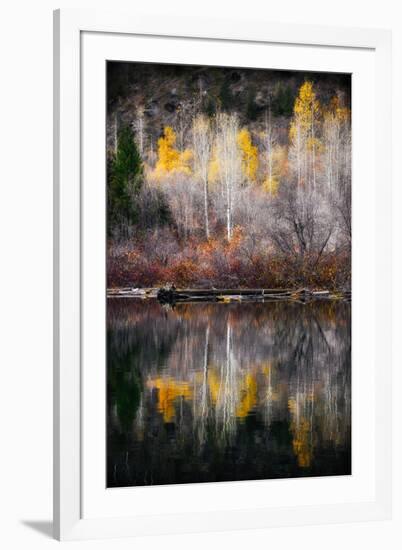 Autumn Reflection-Ursula Abresch-Framed Premium Photographic Print