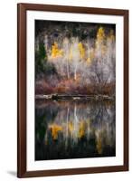 Autumn Reflection-Ursula Abresch-Framed Premium Photographic Print