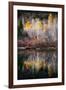 Autumn Reflection-Ursula Abresch-Framed Premium Photographic Print