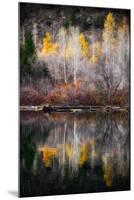Autumn Reflection-Ursula Abresch-Mounted Premium Photographic Print