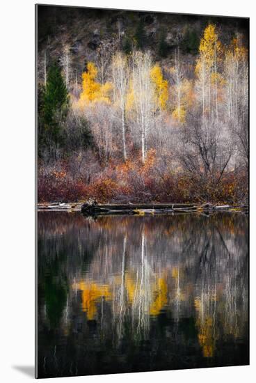 Autumn Reflection-Ursula Abresch-Mounted Premium Photographic Print