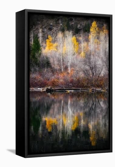 Autumn Reflection-Ursula Abresch-Framed Stretched Canvas