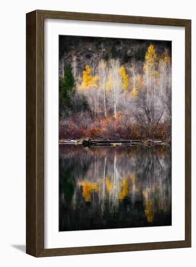 Autumn Reflection-Ursula Abresch-Framed Photographic Print