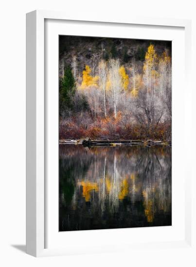 Autumn Reflection-Ursula Abresch-Framed Photographic Print