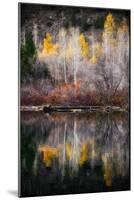 Autumn Reflection-Ursula Abresch-Mounted Photographic Print