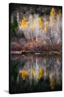 Autumn Reflection-Ursula Abresch-Stretched Canvas