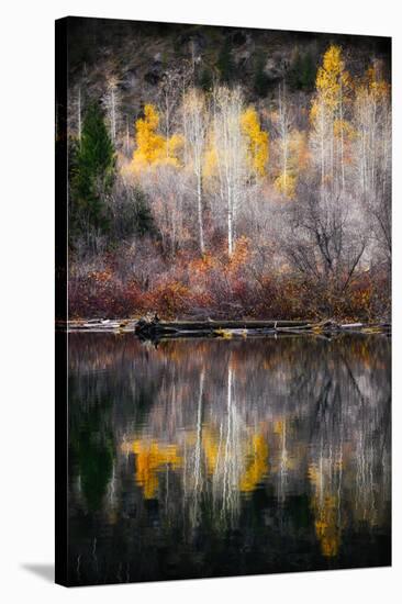 Autumn Reflection-Ursula Abresch-Stretched Canvas