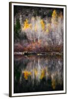 Autumn Reflection-Ursula Abresch-Framed Premium Photographic Print