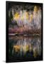 Autumn Reflection-Ursula Abresch-Framed Premium Photographic Print