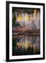 Autumn Reflection-Ursula Abresch-Framed Photographic Print