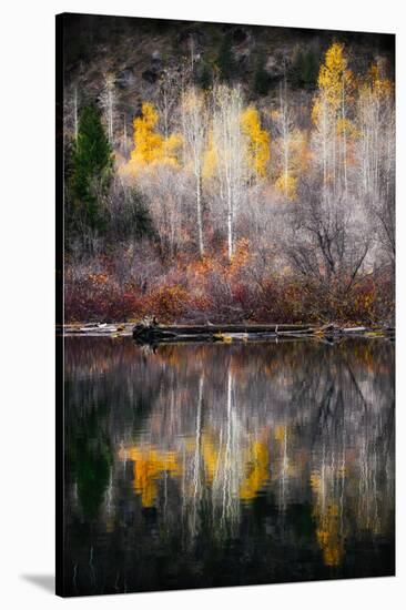 Autumn Reflection-Ursula Abresch-Stretched Canvas