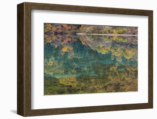 Autumn Reflections and Lake, Jiuzhaigou NP, Sichuan Province, China-Peter Adams-Framed Photographic Print