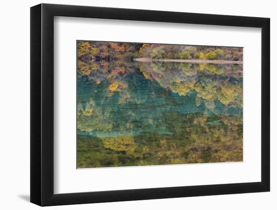 Autumn Reflections and Lake, Jiuzhaigou NP, Sichuan Province, China-Peter Adams-Framed Photographic Print