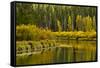 Autumn reflections, Aspen Area, Deschutes National Forest, Oregon, USA-Michel Hersen-Framed Stretched Canvas