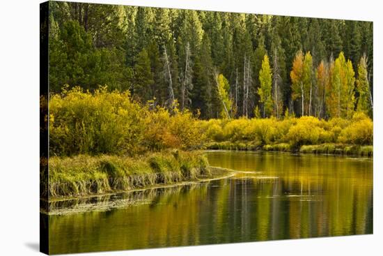 Autumn reflections, Aspen Area, Deschutes National Forest, Oregon, USA-Michel Hersen-Stretched Canvas