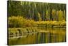 Autumn reflections, Aspen Area, Deschutes National Forest, Oregon, USA-Michel Hersen-Stretched Canvas