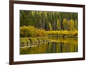 Autumn reflections, Aspen Area, Deschutes National Forest, Oregon, USA-Michel Hersen-Framed Photographic Print