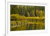 Autumn reflections, Aspen Area, Deschutes National Forest, Oregon, USA-Michel Hersen-Framed Photographic Print